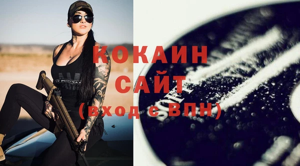 соль ск Арсеньев